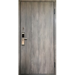 Входная металлическая дверь М-40-ЭЛ