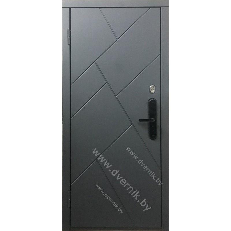 Входная металлическая дверь М-38-ЭЛ