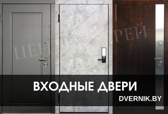 Разновидности входных дверей